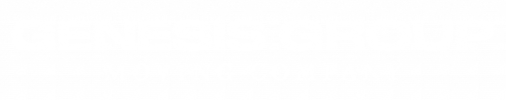 Genesis group moving company French Riviera logo